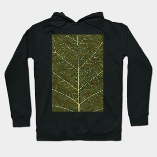 Viridian spring Hoodie